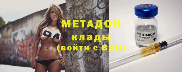 прущие грибы Аркадак
