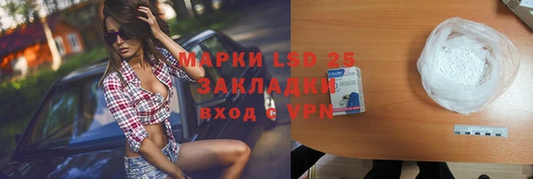 сатива Арсеньев
