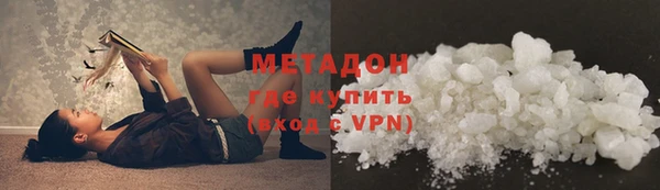прущие грибы Аркадак