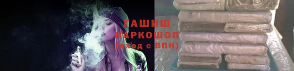 прущие грибы Аркадак
