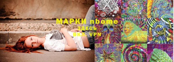 сатива Арсеньев