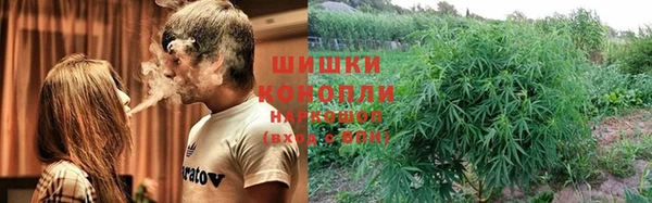 сатива Арсеньев