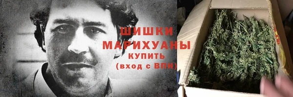 сатива Арсеньев
