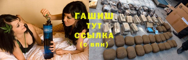 прущие грибы Аркадак