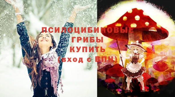 сатива Арсеньев