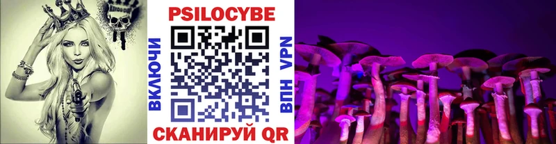 площадка как зайти  где можно купить наркотик  Калининск  Псилоцибиновые грибы Cubensis 